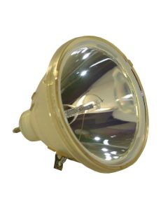 OB0148_1.jpg