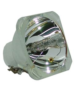 OB0155_1.jpg