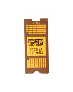 PP-DMD-007-1_1.jpg