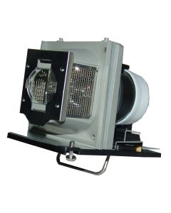 QL0383_1.jpg