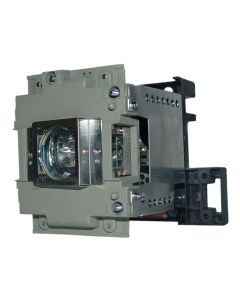 QL0577_1.jpg