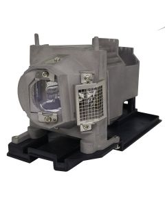 QL0950_2.jpg