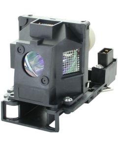 QL1018.jpg