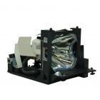 Módulo PrimeLamp EP8765LK / 78-6969-9547-7, CP775i-930, 456-226, DT00471, ZU0288 04 4010 (#GM0146)