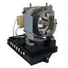 Módulo PrimeLamp NP19LP 60003129, BL-FP230G / SP.8JQ01GC01 (#GMHQ0010)