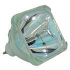 Bombilla Original Philips (UHP) (Sin Carcasa) (#OB0141)