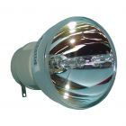 Bombilla Original Osram (P-VIP) (Sin Carcasa) (#OB0201)