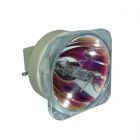 Bombilla Original Philips (UHP) (Sin Carcasa) (#OB0239)