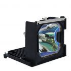 Módulo QualityLamp 03-000882-01P, 003-120239-01, POA-LMP81 / 610-314-9127, POA-LMP98 / 610-325-2957, LV-LP22 / 9924A001AA (#QL0094)