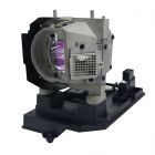 Módulo QualityLamp NP19LP 60003129, BL-FP230G / SP.8JQ01GC01 (#QL0501)