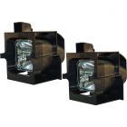 Módulo QualityLamp R9841842 / R9841823 - Conjunto de Dos (#QLDL0010)