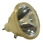 Bombilla Original Philips (UHP) (Sin Carcasa) (#OB0147)